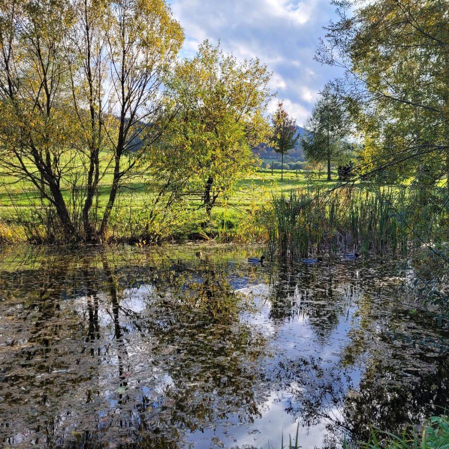 Hotel Helios Lipová-lázně Dış mekan fotoğraf